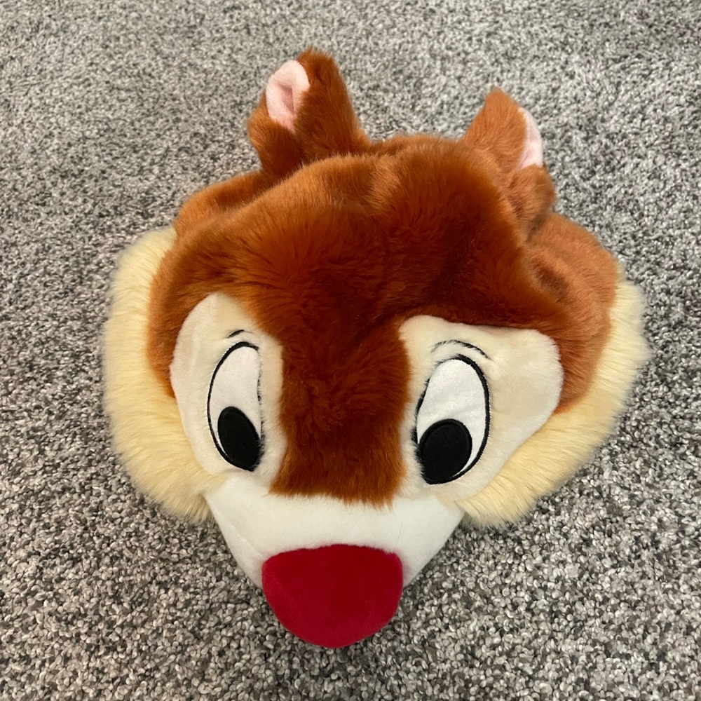 Disney Dale hat